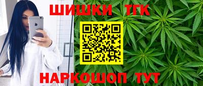 мдпв Гагарин