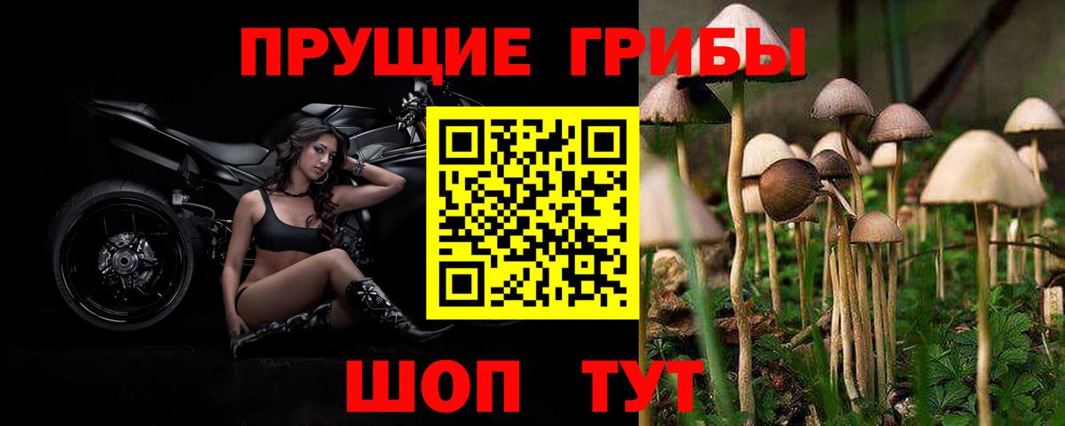 Галлюциногенные грибы Magic Shrooms  Вход с VPN  Междуреченск 